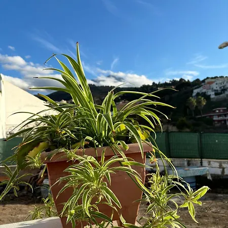 Country house La Trinidad La Guancha